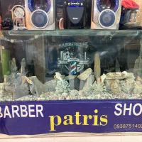 آکواریوم شیشه خم|ماهی|نهاوند, |دیوار