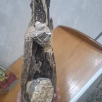 آبنوس بلک واتر|ماهی|تهران, منیریه|دیوار