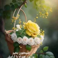 شمال و شهرهای ساحلی