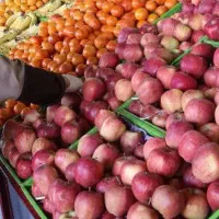 شراکتی-میوه-فروشی-مغازه-از-من-کار-از-شما