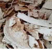 دوگونی نون خشک