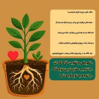 بازدید و مشاوره رایگان|خدمات باغبانی و درختکاری|دوگنبدان, |دیوار