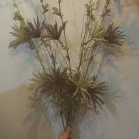 گل مصنویی ۶شاخه درحدنو