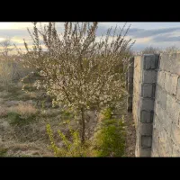 باغ ویلایی خسروشاه خسروشهر حصار وسند