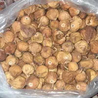 گردو انجیر خرما قصب شیره انگور|خوردنی و آشامیدنی|شیراز, مسلم|دیوار