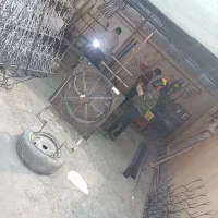 تولیدوفروش حفاظ شاخ گوزنی