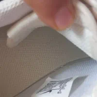 کفش|کیف، کفش، کمربند|فسا, |دیوار