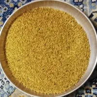 بذر یونجه درجه یک|عمدهفروشی|شیراز, نصر|دیوار