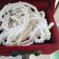 گردبند مروارید