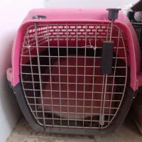 باکس حمل سگ و گربه + خاک ۱۰ کیلو