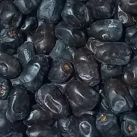 خرما مضافتی چین یک امسال / تناژ|عمده‌فروشی|تهران, سهروردی|دیوار