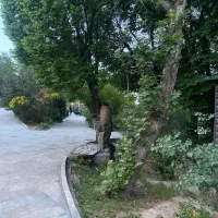 کارفود اجاره داده می شود