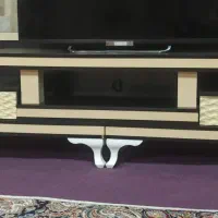 میز تلویزیون درحد