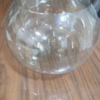 ظروف|ظروف سرو و پذیرایی|سیرجان, |دیوار