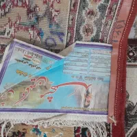 چند عدد قالی دوازده متری|فرش|اهواز, کوی باهنر|دیوار