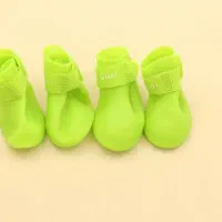 کفش سگ guai گوای