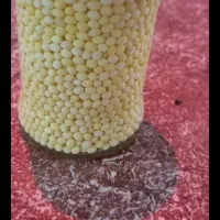 خاویار حلزون