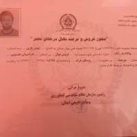 فروش نهال زرشک|خدمات باغبانی و درختکاری|زهان, |دیوار