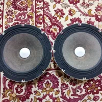 میدرنج بیضی ORION.میدرنج 8 اینچ VERITY