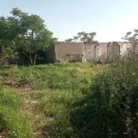 خانه-کلنگی-نزدیک-جنگل-قرق-بابهترین-همسایه