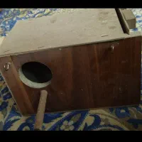 لونه پرنده