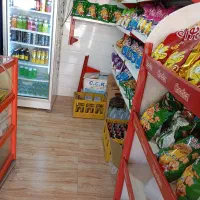 سلام به یک همکار خانم نیازمندیم