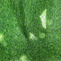 چمن