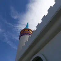 به هم صحبت خانم برای زبان انگلیسی نیازمندیم