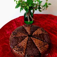 کیک کافه کیک تولد