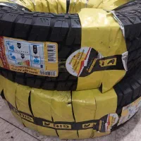 لاستیک پاترول.