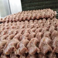 کباب پز و اشپز وارد به تخته کاری