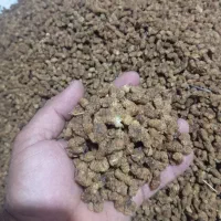 توت خشک|خوردنی و آشامیدنی|اهر, |دیوار