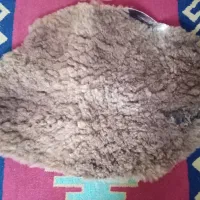 پوست بره