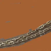 گمشده مدال زنجیر طلا  گمشده