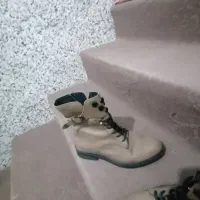 کفش|کیف، کفش، کمربند|شیراز, کیان آباد|دیوار