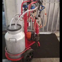 شیردوش گاوی