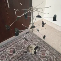 استند یا رگال ۳طبقه همراه با آویز گیره دار