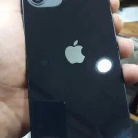 12 نرمال