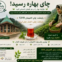 فرصت سرمایه گذاری محدود