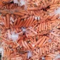 انارسیب هویج آبگیری قیمت عمده ارسال به سراسرتهران|خوردنی و آشامیدنی|تهران, میدان میوه و تره‌بار مرکزی|دیوار