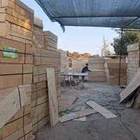 تخته ژوئن و تخته سه لایی و...