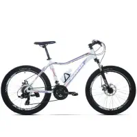 دوچرخه کویر