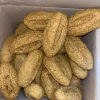 ترخینه ملایر