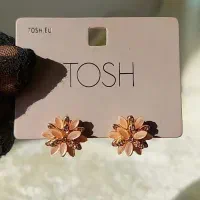 پخش عمده بدلیجات اروپایی