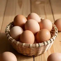 تخم‌مرغ کاملاً طبیعی از مرغ‌های محلی همون‌ روز