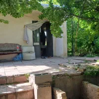 باغ-زمین