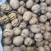 گردو درجه یک پوست کاغذی|خوردنی و آشامیدنی|شیراز, درکی|دیوار