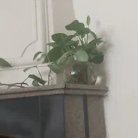 سیم کارت ۰۹۱۲ فروشی