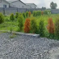 فروش-فوری-زمین-مسکونی-داخل-شهرک