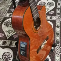 اریا ak80کات وی|گیتار، بیس، امپلیفایر|گنبد کاووس, |دیوار